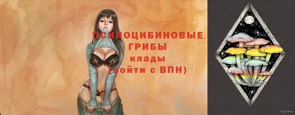 герыч Бронницы