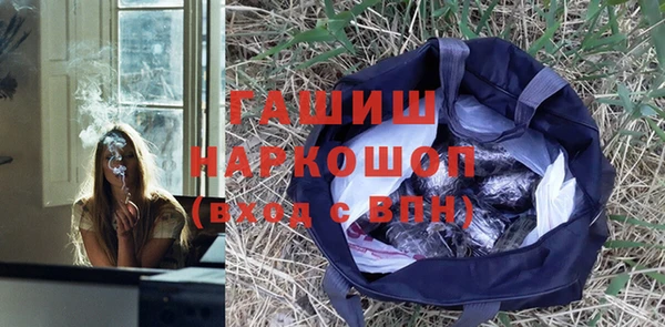 a pvp Бородино