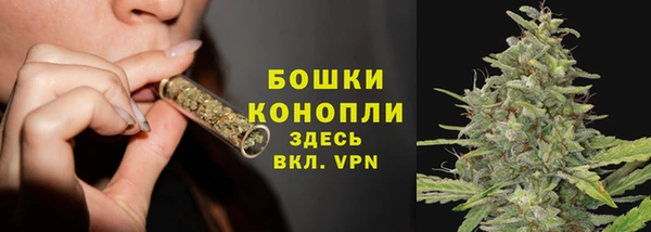 a pvp Бородино