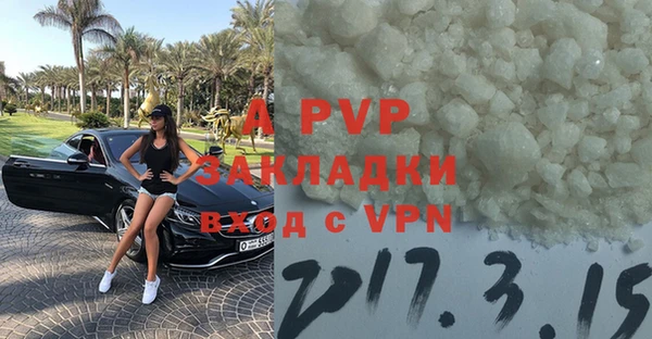 a pvp Бородино